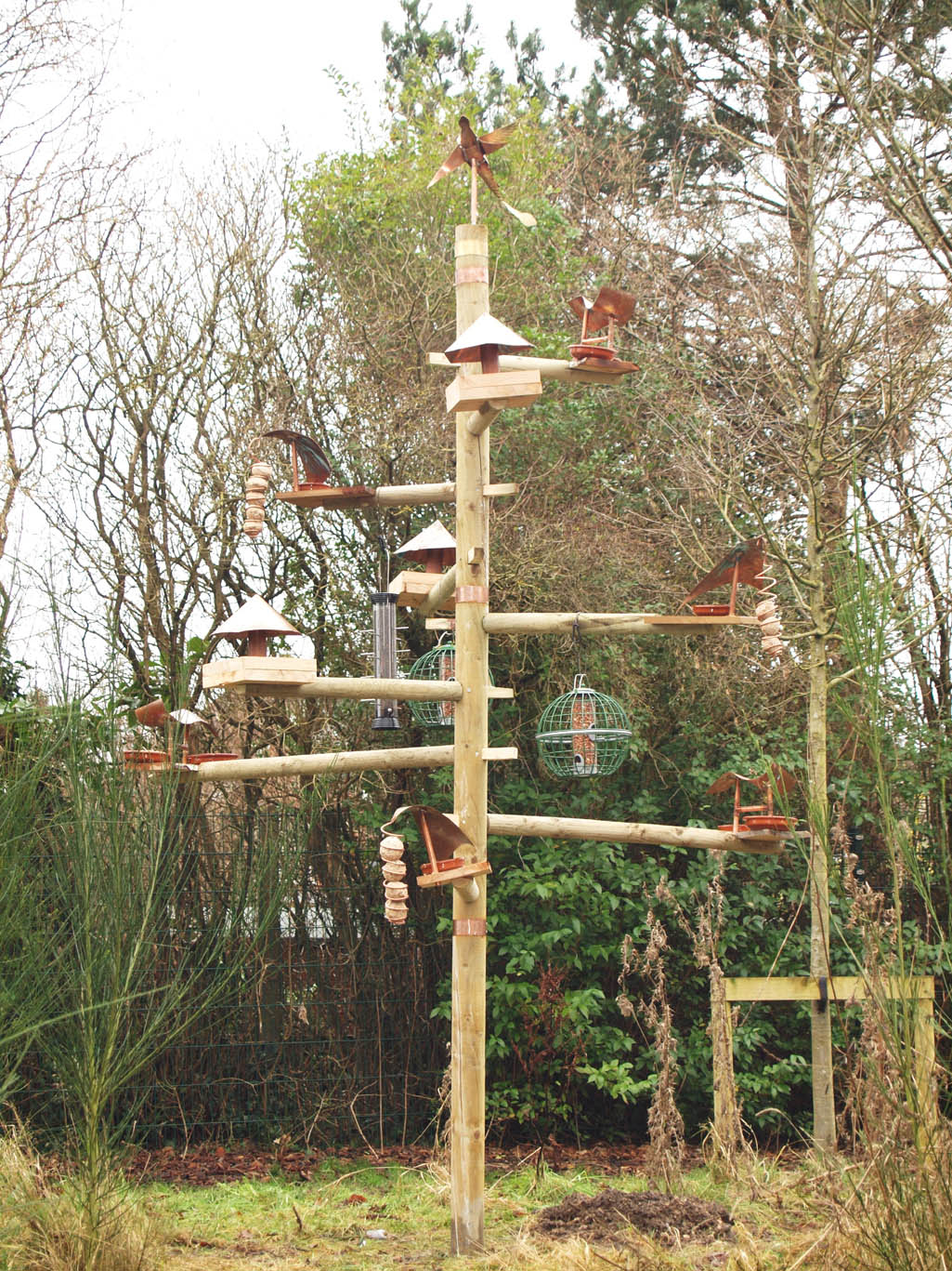 bird feeder ideas on Pinterest | Bird Feeding Station, Bird Feeders 